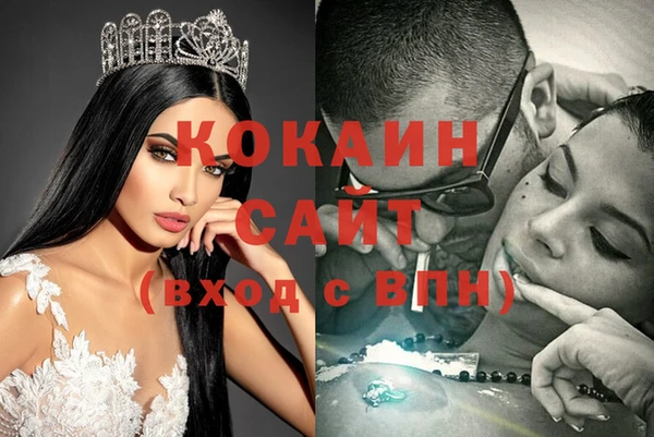 спайс Инта