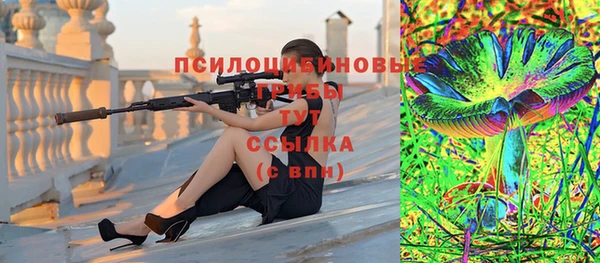 соль ск Алексин