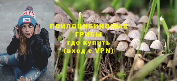 соль ск Алексин