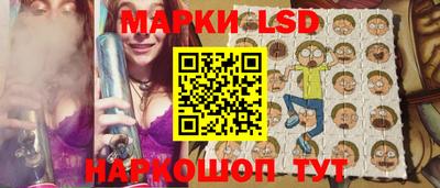 шишки Новодвинск