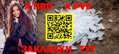 шишки Новодвинск