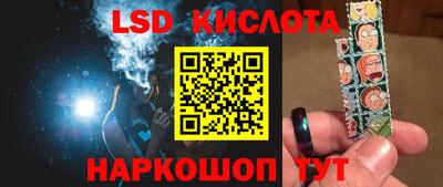 шишки Новодвинск