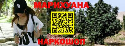 шишки Новодвинск