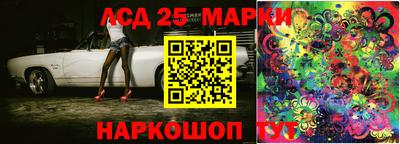 шишки Новодвинск