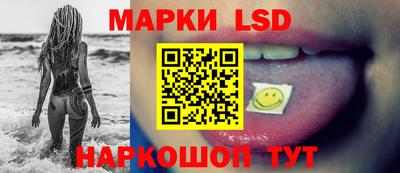шишки Новодвинск