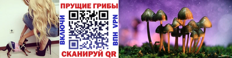 Галлюциногенные грибы мицелий Волоколамск