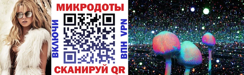 Галлюциногенные грибы Psilocybe  Волоколамск 