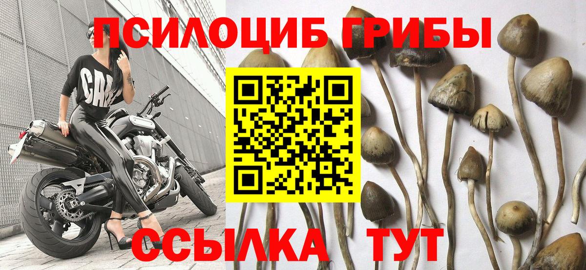 Волоколамск  Галлюциногенные грибы мицелий  Вход с VPN  Галлюциногенные грибы ЛСД 